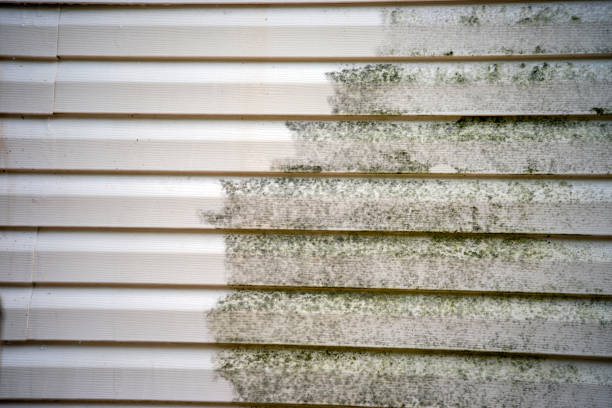 Best Shed Removal  in Alexandria, IN